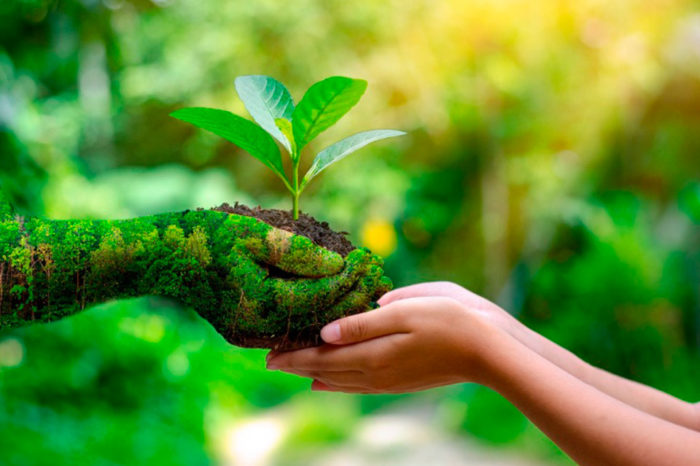 Día Mundial del Medio Ambiente: a 50 años de su creación