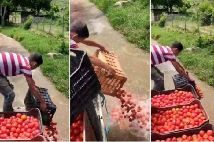 Precandidatos rechazan persecución a agricultores agricultor