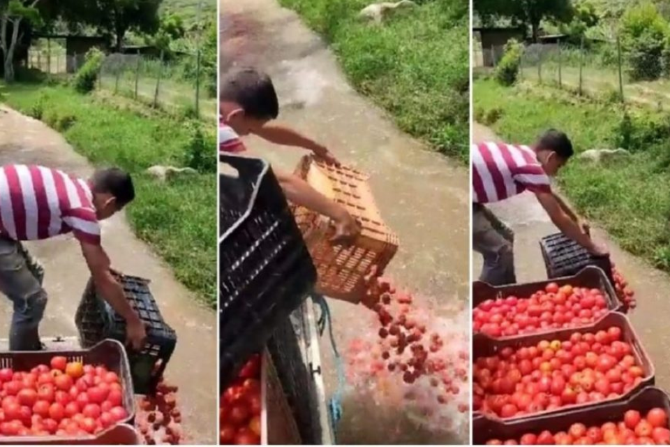 Precandidatos rechazan persecución a agricultores agricultor