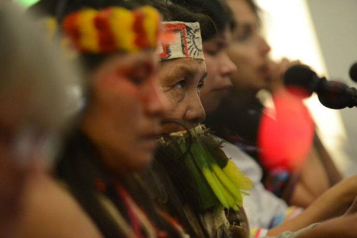 El papel de la juventud indígena en la conservación de la biodiversidad