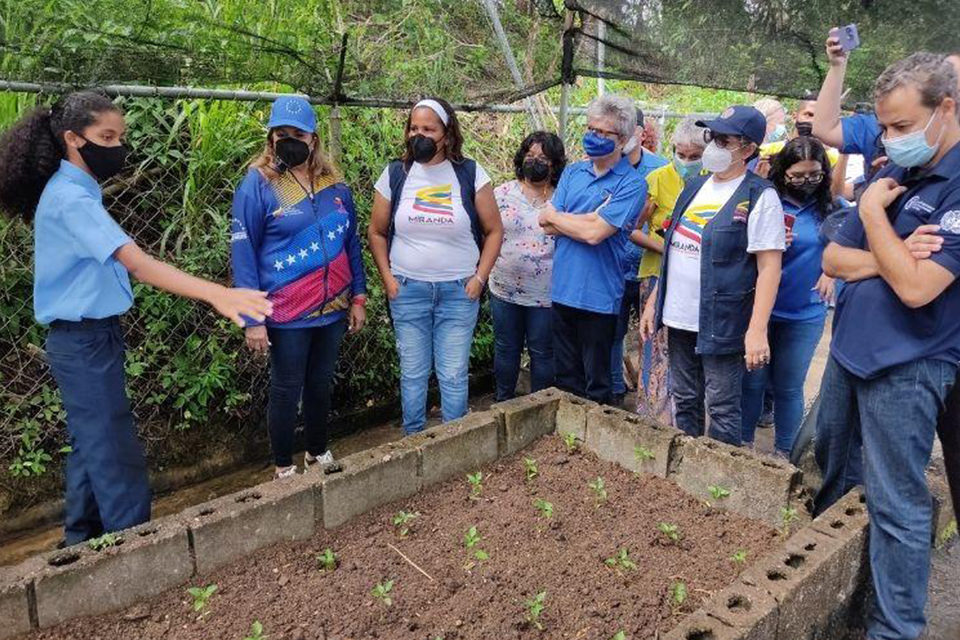 FAO alimentación