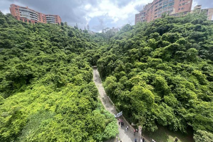 Entrada parcela La Alameda bosque