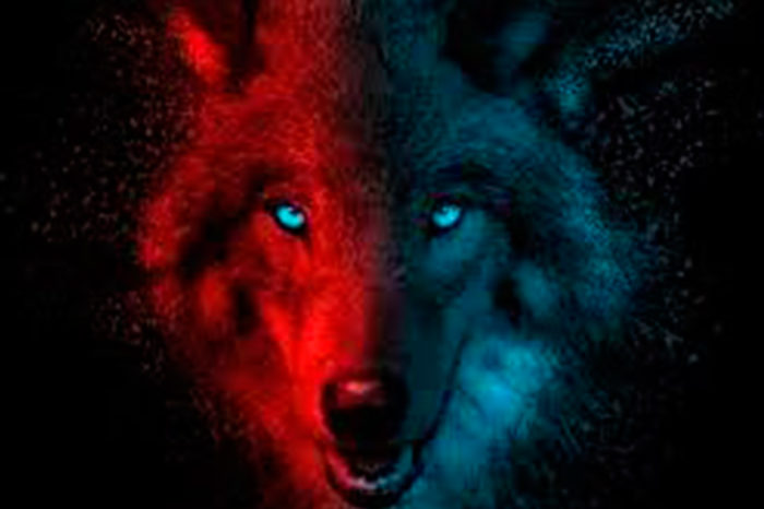 El lobo asesino anda suelto en el vecindario