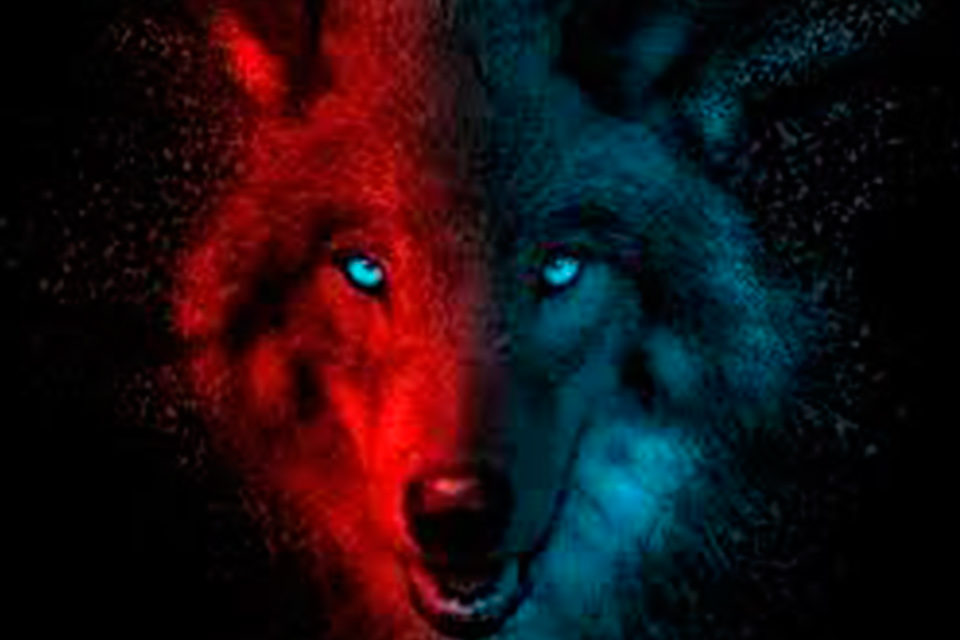 El lobo asesino anda suelto en el vecindario