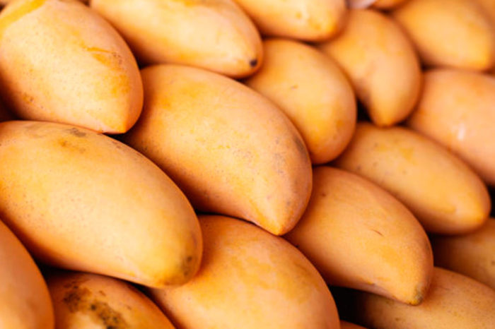 Los amigos en Venezuela son como los mangos