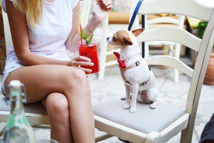 Locales pet-friendly en Caracas