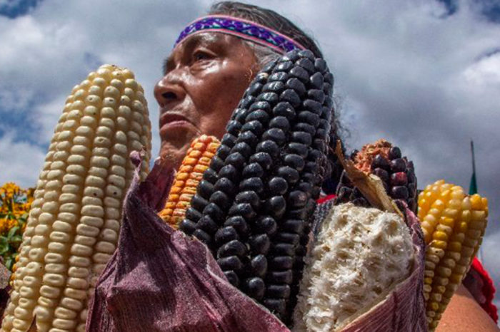 El desafío de acercar la ciencia a la sabiduría de los pueblos originarios
