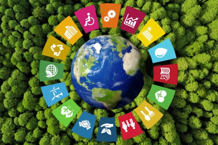 Acelerar la Agenda 2030: Hay que contar con las cooperativas