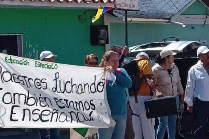 Docentes
