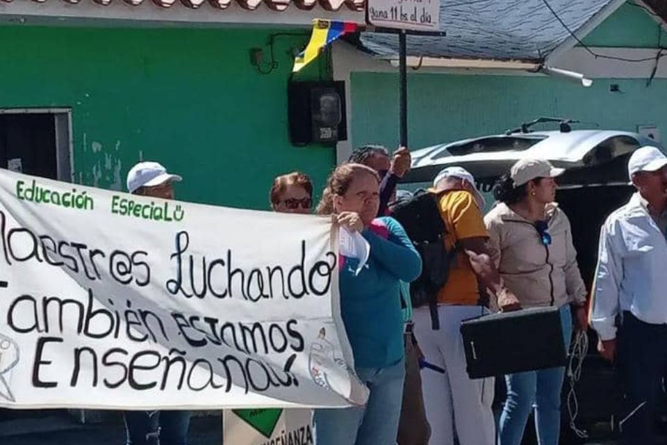 Docentes