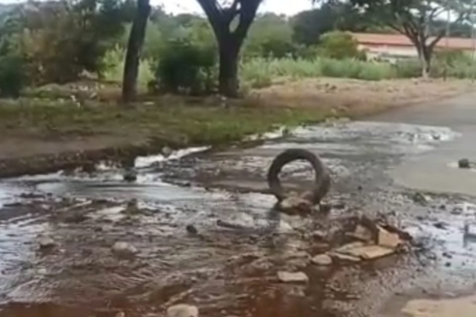 Agua