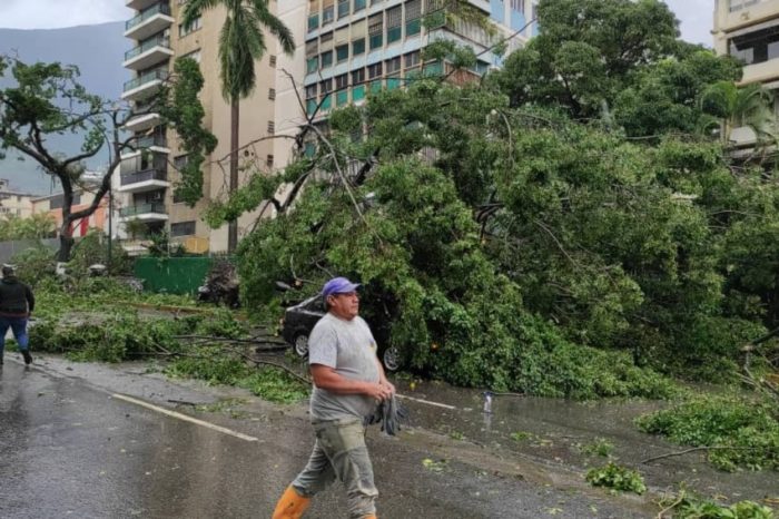 lluvias árboles Chacao 20.10.2023
