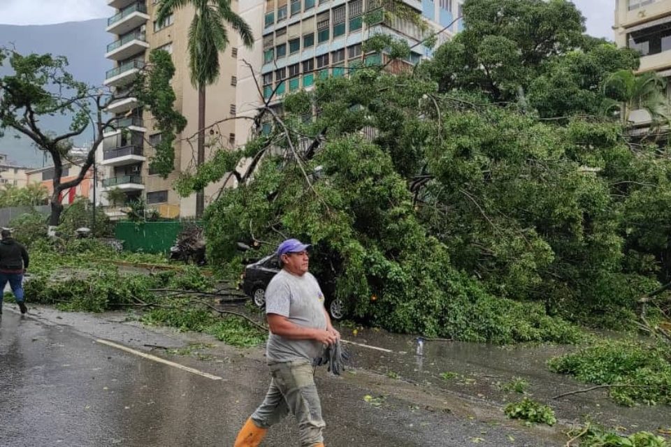lluvias árboles Chacao 20.10.2023