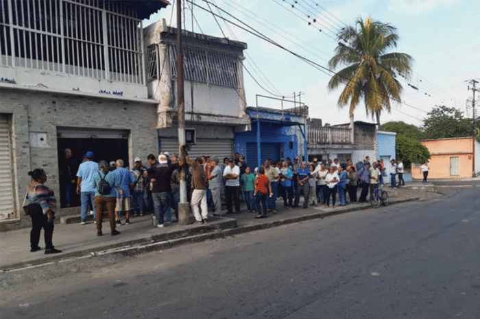 primarias occidente 2023