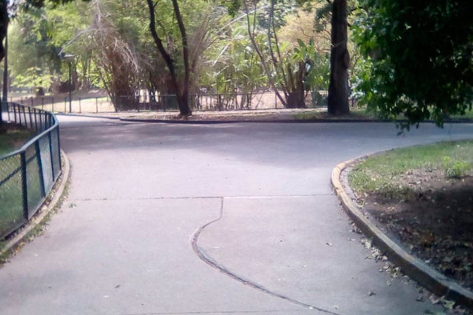 Despejar los caminos