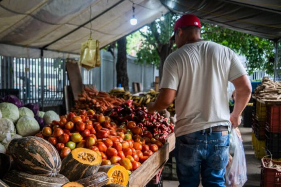 Alimentación Zulia