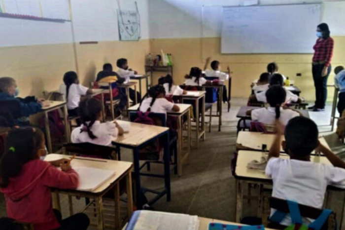 Docentes maestros