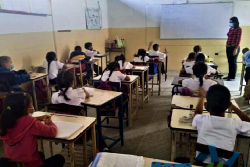 Docentes maestros