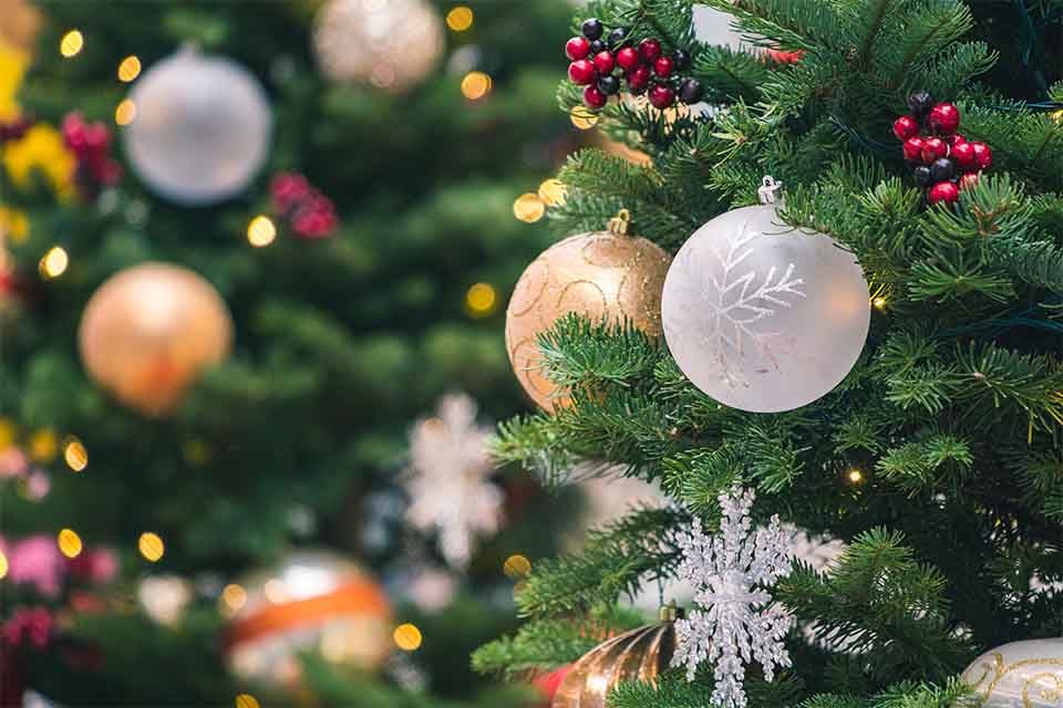 Navidad 24 31