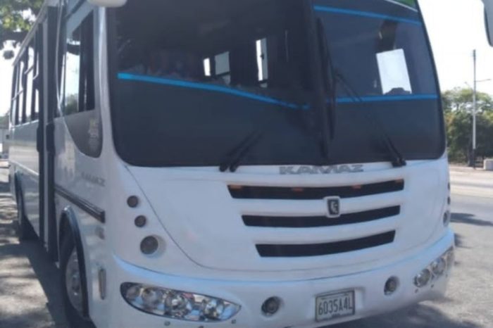 Delincuencia en Autopista José Antonio Páez