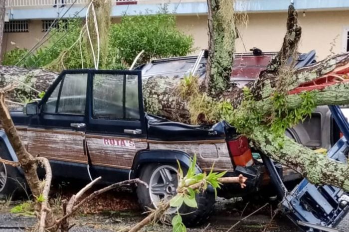Exigen tala de árboles en Mérida