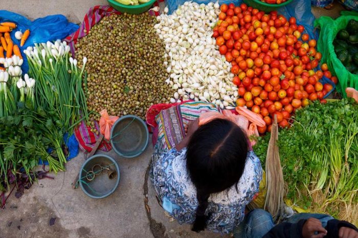 Sociedad civil y la Cooperación Sur-Sur para la seguridad alimentaria en América Latina
