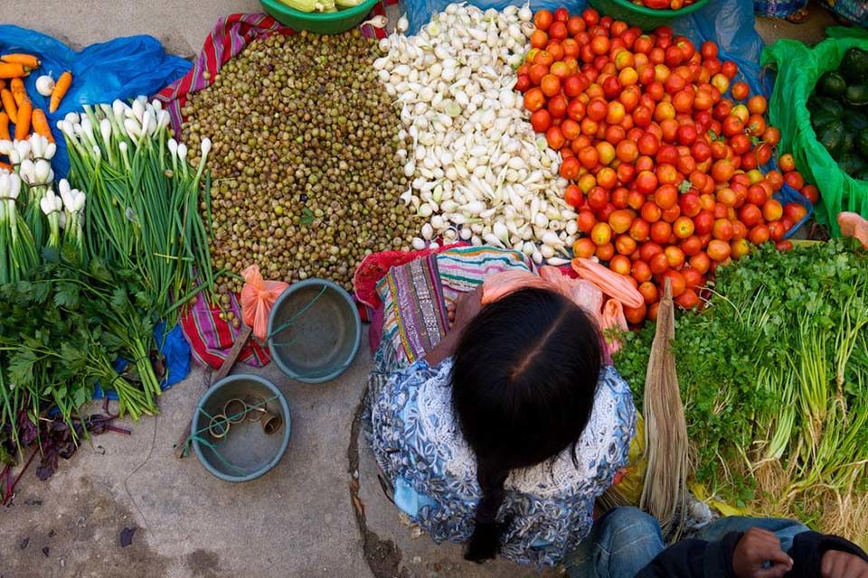 Sociedad civil y la Cooperación Sur-Sur para la seguridad alimentaria en América Latina