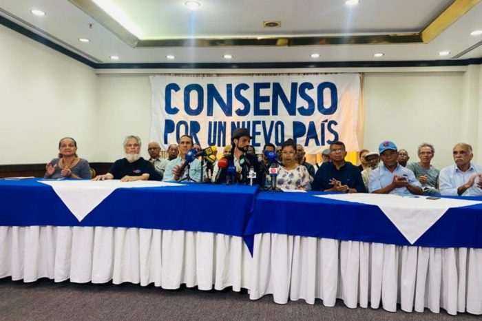 Organización Consenso