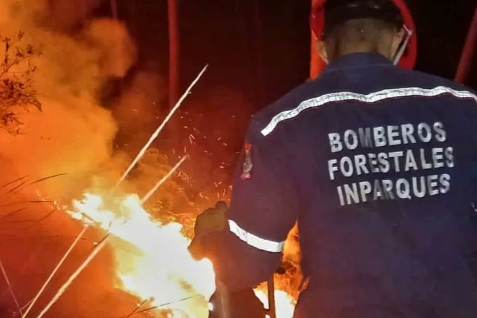 Incendios forestales