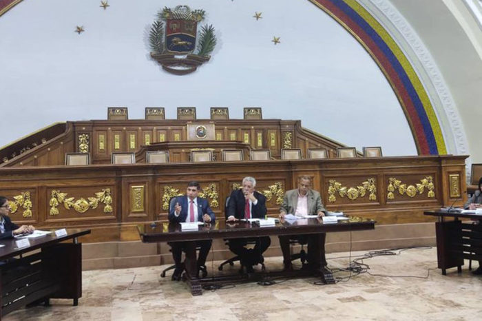 empresa mixta