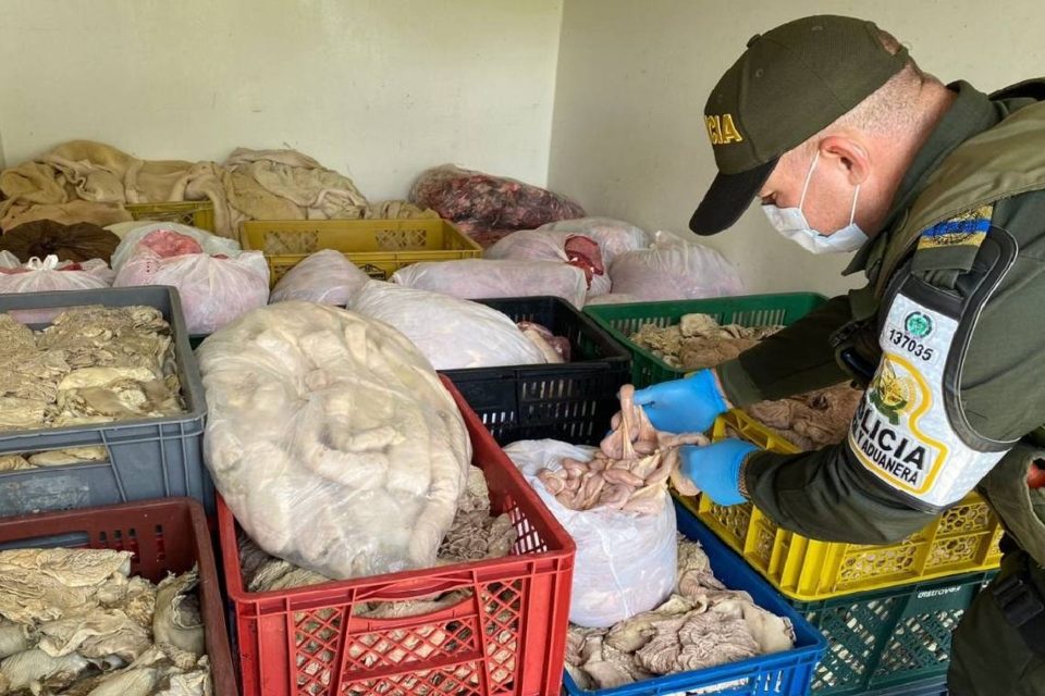 Carne contrabando Cúcuta