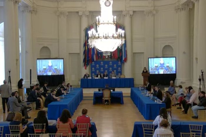 Panel de expertos de la OEA 1