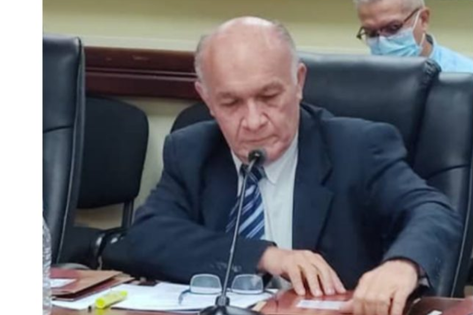 copei diputado tsj elecciones