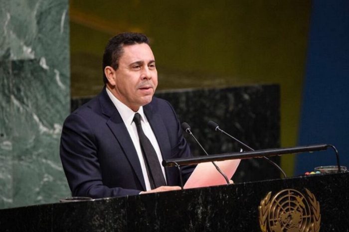 Samuel Moncada ONU