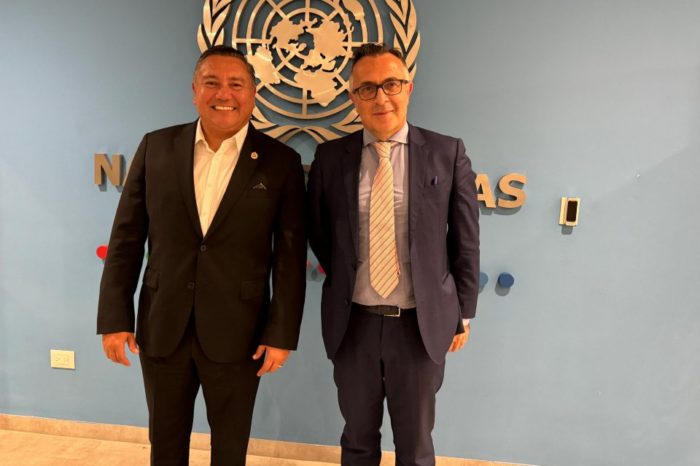 Bertucci ONU