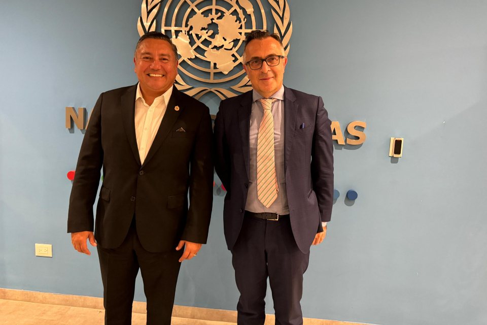 Bertucci ONU