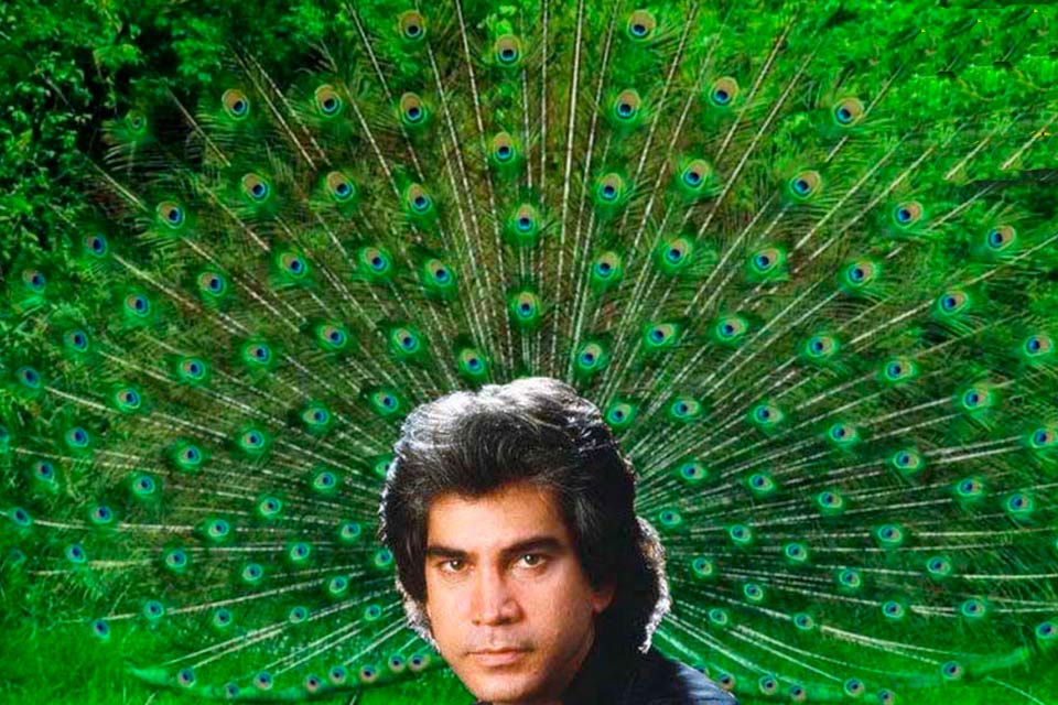 Con plumas de pavo real