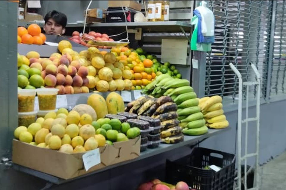 Cedice alimentos