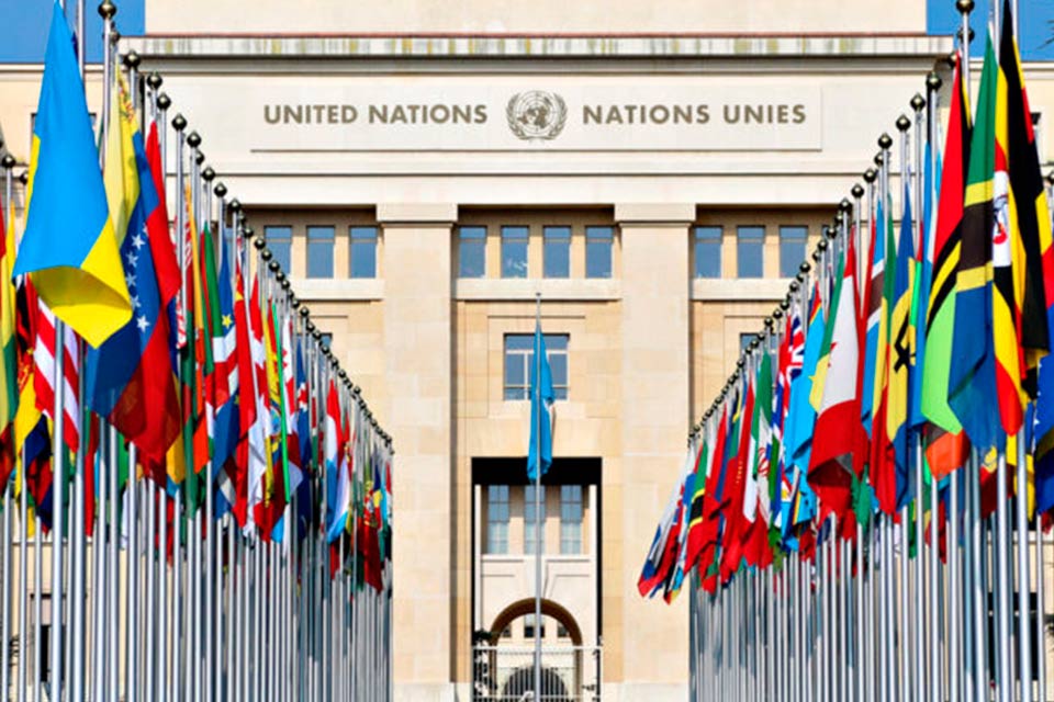 ¿Tienen futuro las organizaciones intergubernamentales? onu desaparición