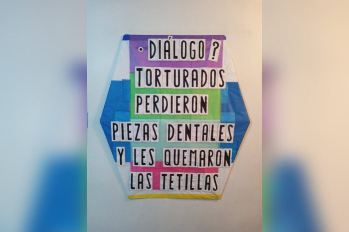 papagayos torturados imperativo moral