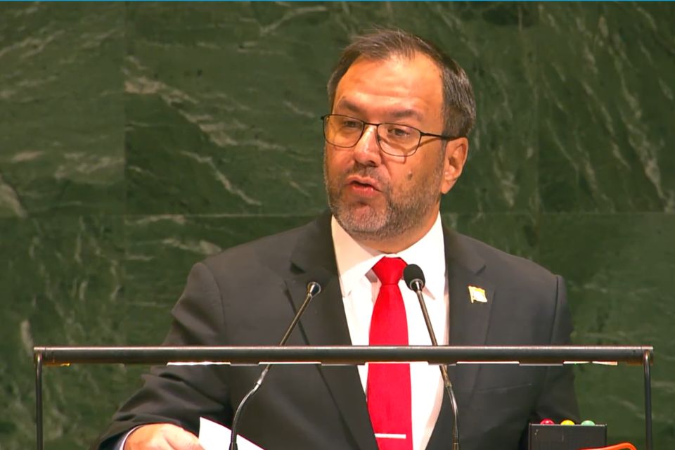 Yván Gil ONU