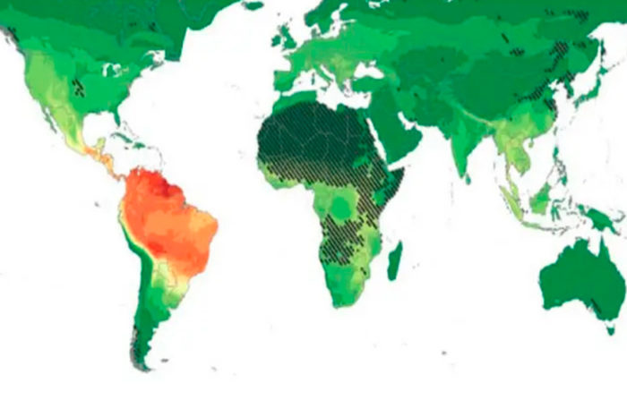 Epidemias y riesgos en la agenda de América Latina
