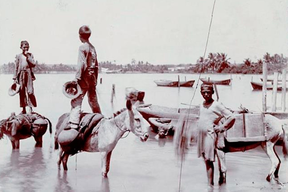 Aguadores de Maracaibo