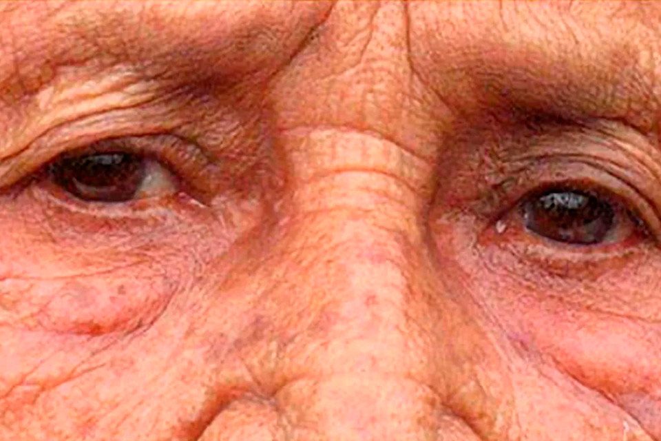 Febril la mirada