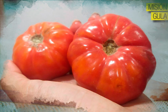 Verdades y mentiras del tomate
