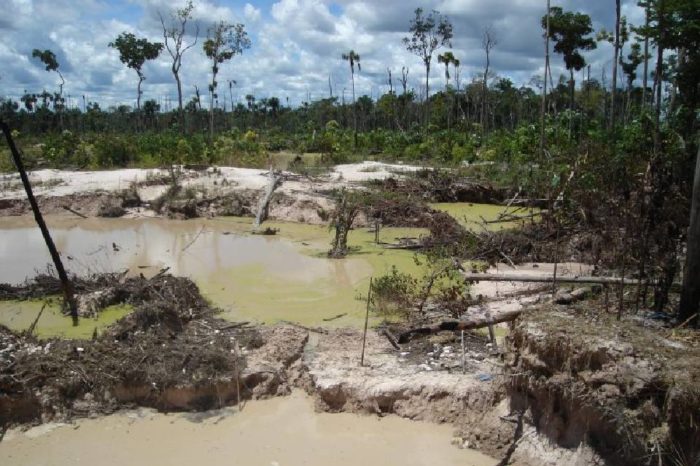 Sos Orinoco minería ilegal Bolívar