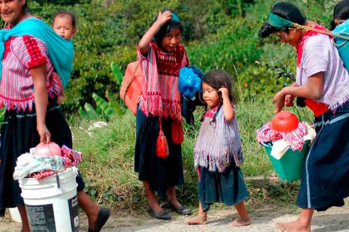 Rumbo a la COP30: el cambio climático y la migración forzada en AL