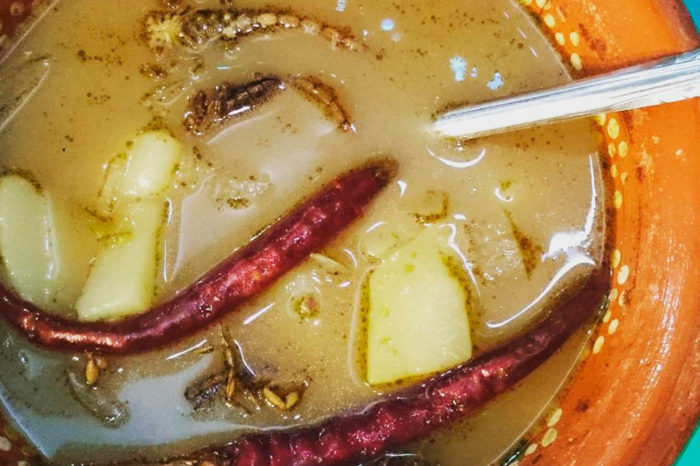 Sopa de alacranes