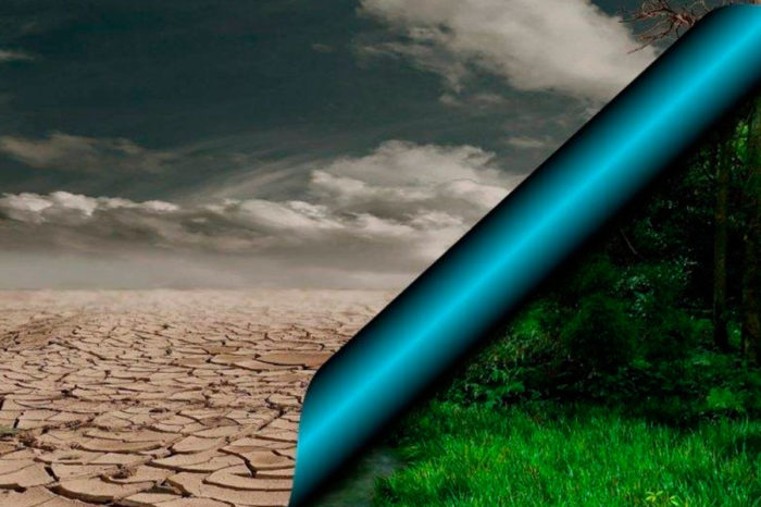 COP30: información y crisis climática