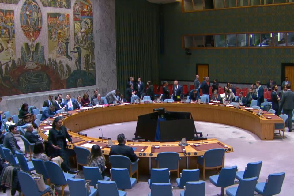 Consejo de Seguridad de la ONU